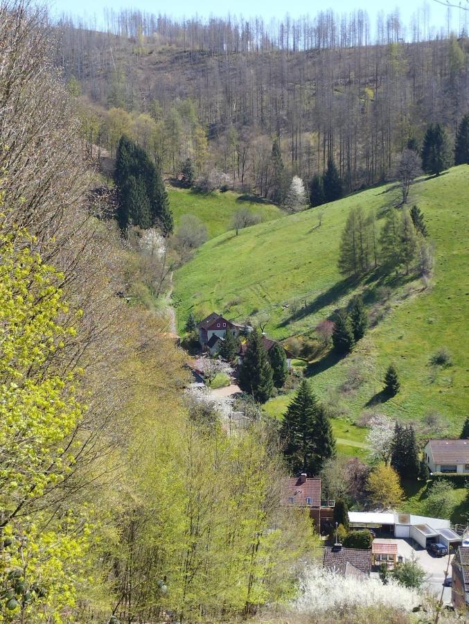 Olifant In Osterode Διαμέρισμα Osterode am Harz Εξωτερικό φωτογραφία