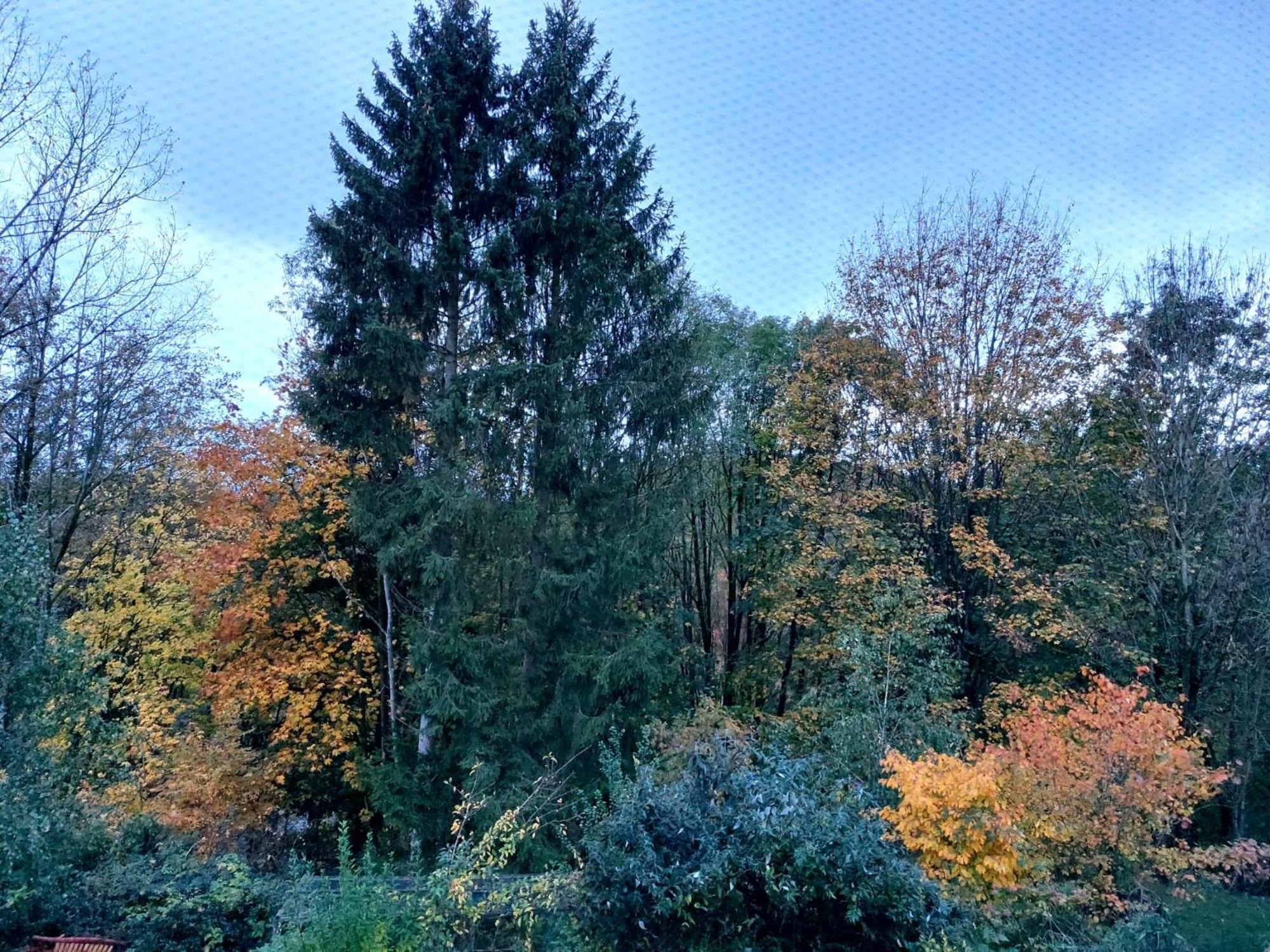 Olifant In Osterode Διαμέρισμα Osterode am Harz Εξωτερικό φωτογραφία