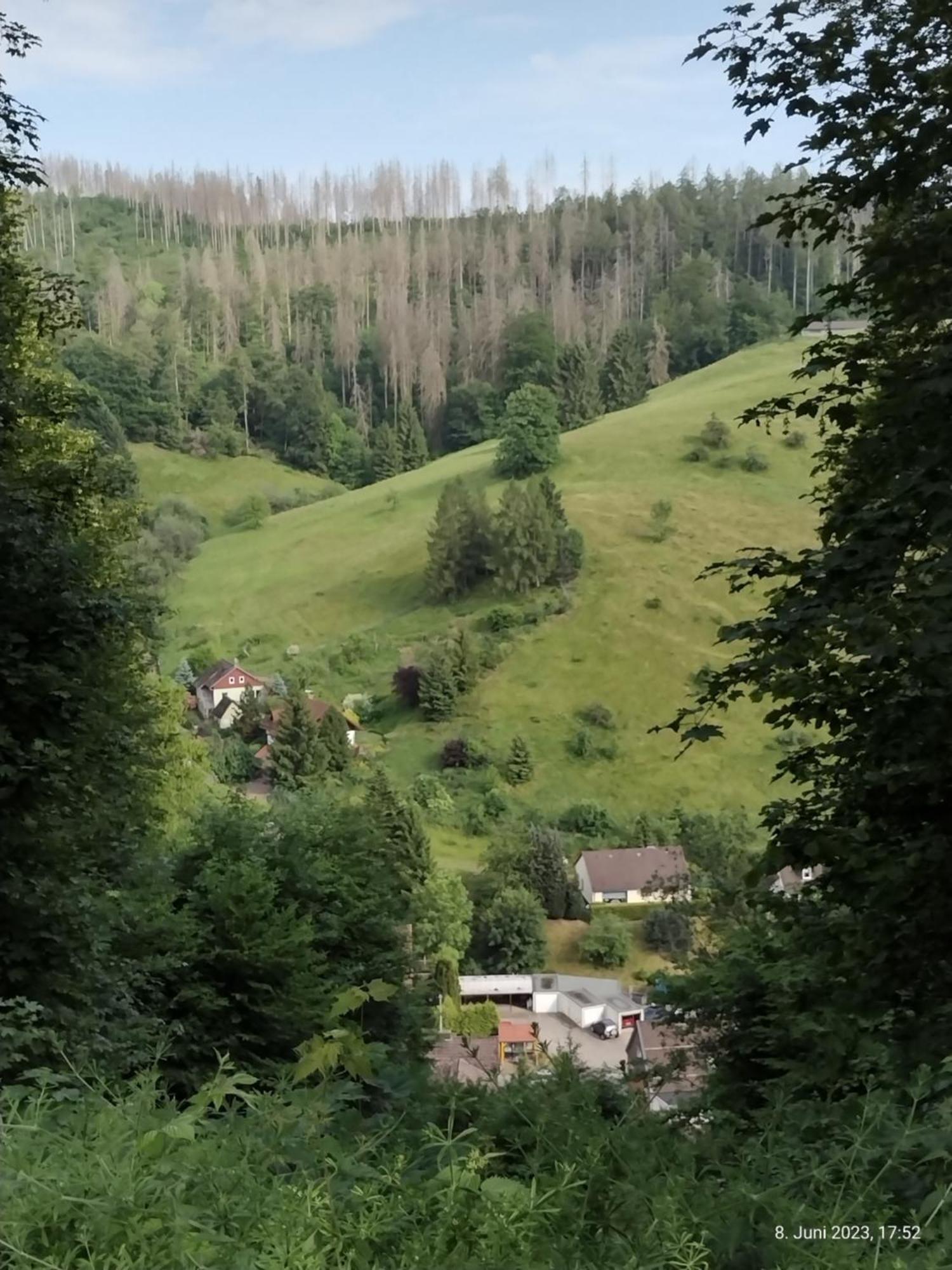 Olifant In Osterode Διαμέρισμα Osterode am Harz Εξωτερικό φωτογραφία