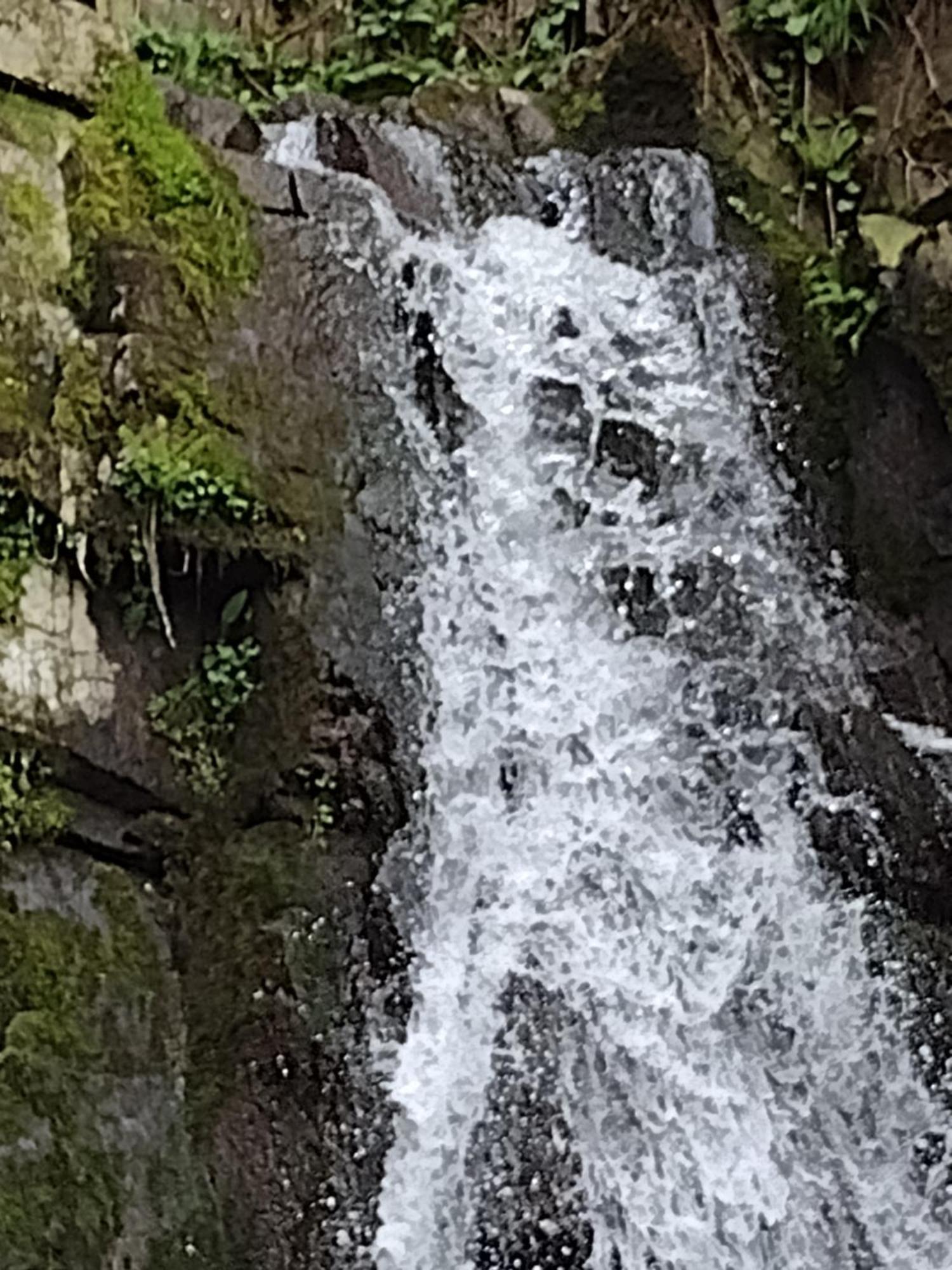 Olifant In Osterode Διαμέρισμα Osterode am Harz Εξωτερικό φωτογραφία