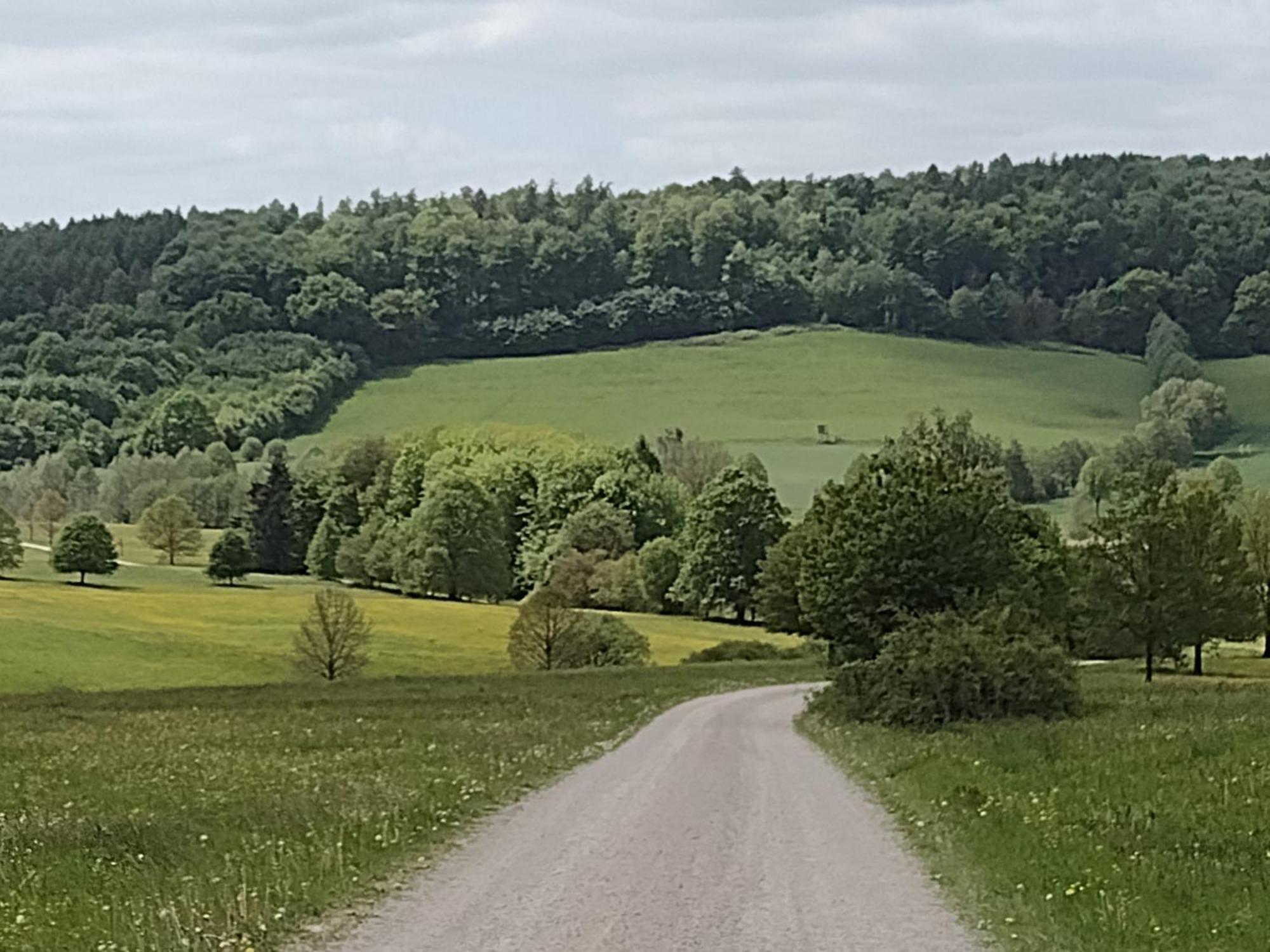 Olifant In Osterode Διαμέρισμα Osterode am Harz Εξωτερικό φωτογραφία