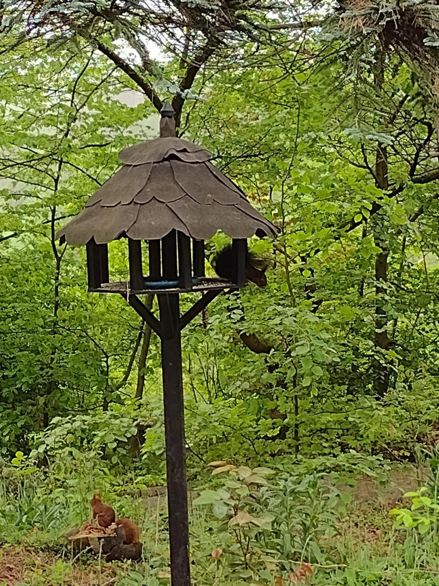 Olifant In Osterode Διαμέρισμα Osterode am Harz Εξωτερικό φωτογραφία